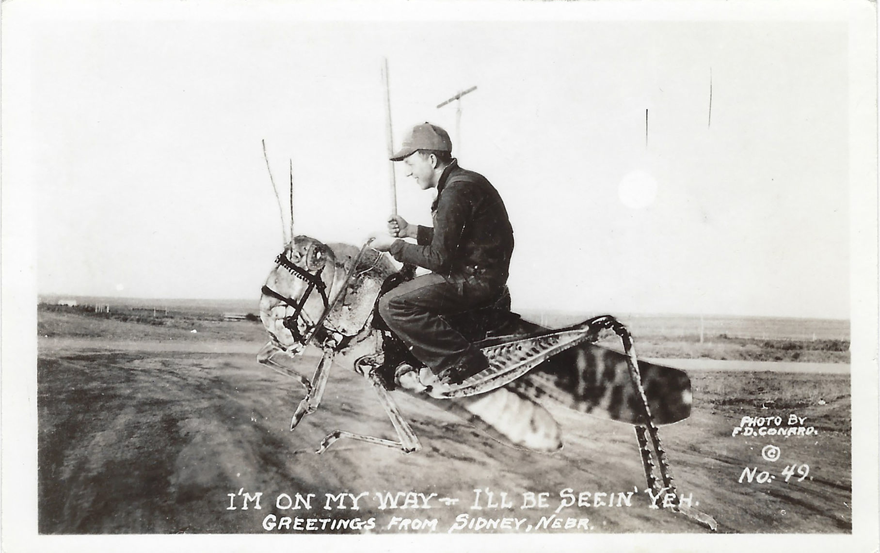 Exaggeration Postcard